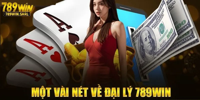 Tìm hiểu về vai trò của đại lý 789win